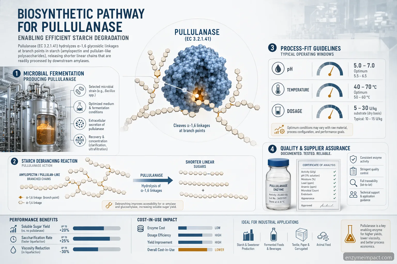 biosynthetic pathway for pullulanase and starch degradation guide with enzyme sourcing, process fit, QC, and cost-in-use icons