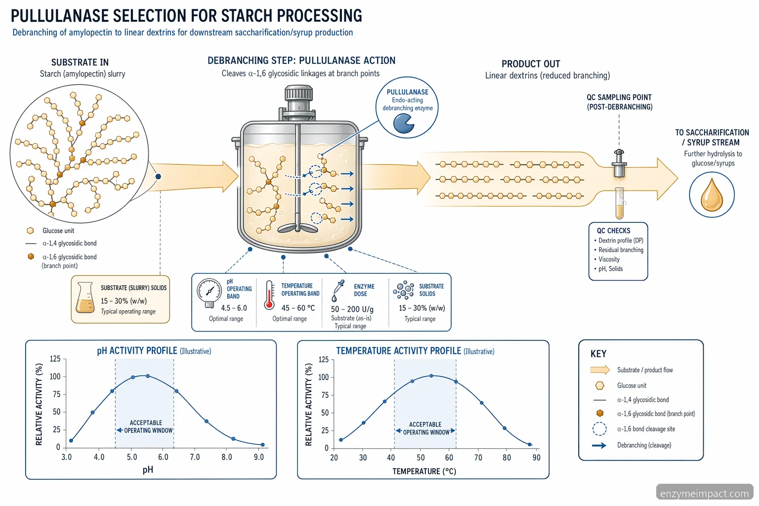 pullulanase applications starch process diagram showing debranching, operating curves, QC sampling, and syrup flow