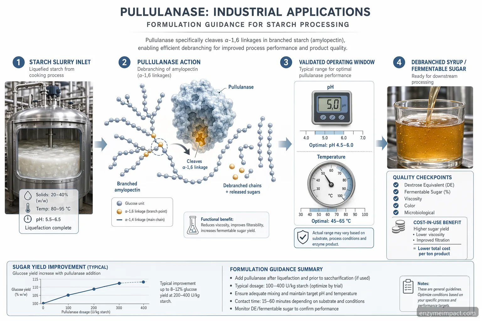 pullulanase industrial applications in starch processing, infographic showing dosing, pH, temperature and QC checkpoints