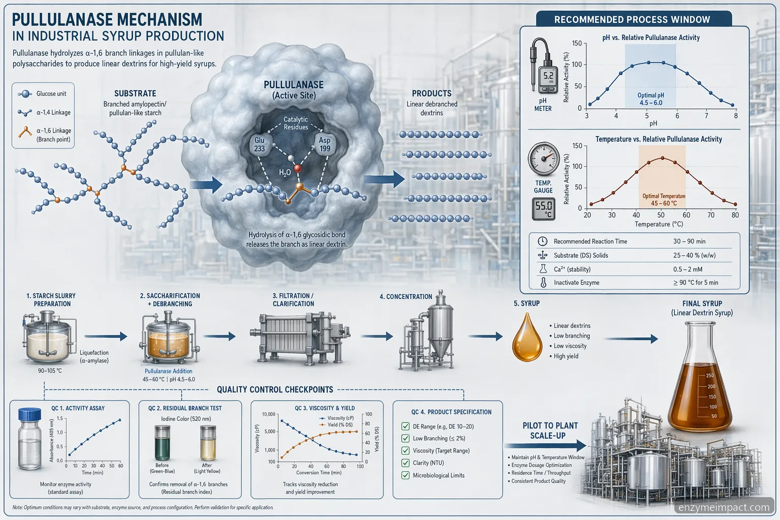 pullulanase production for syrup debranching process diagram with pH, temperature, substrate, product, and QC labels