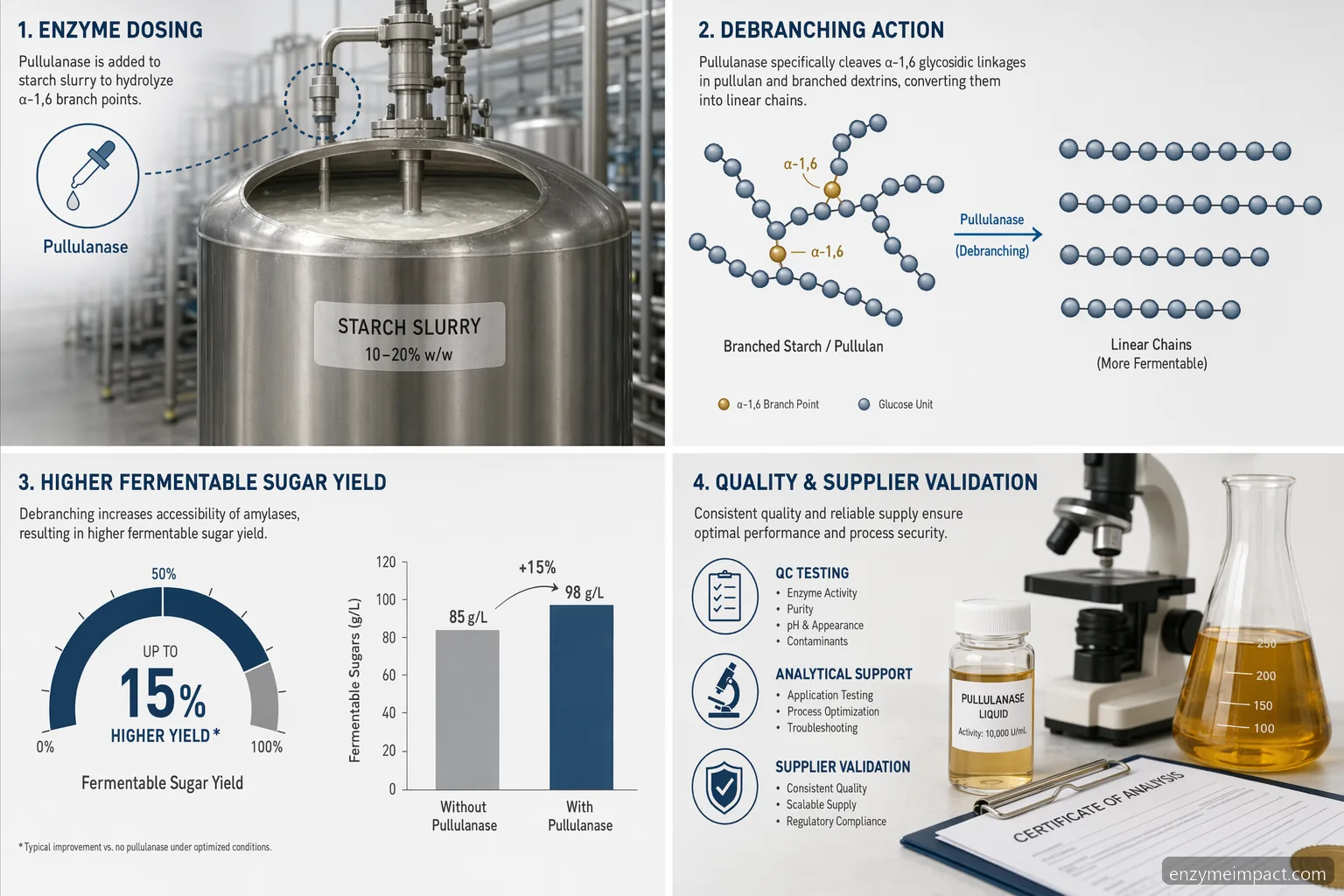 pullulanase production in industrial syrup production infographic showing dosing, debranching, QC, and yield gains