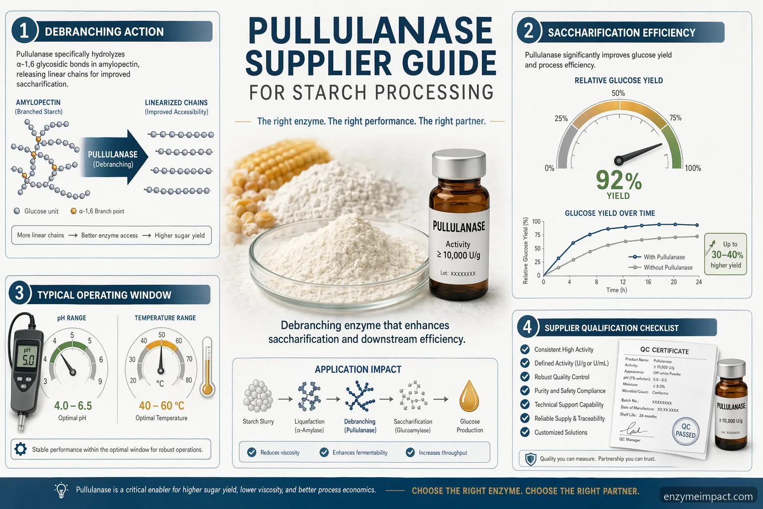 pullulanase supplier guide for starch processing: debranching, dosage, QC, and pilot validation cues